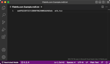 Screenshot of a .md5.txt file in Microsoft Visual Studio Code