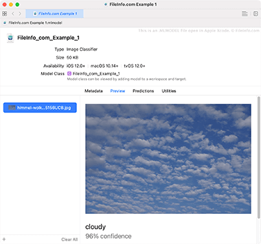 Screenshot of a .mlmodel file in Apple Xcode
