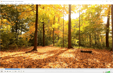 Screenshot of a .mts file in VideoLAN VLC media player 3