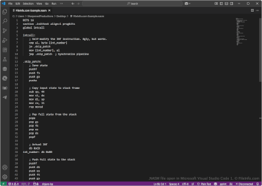 Screenshot of a .nasm file in Microsoft Visual Studio Code 1