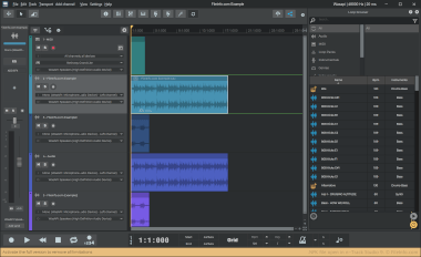 Screenshot of a .npk file in n-Track Studio 9