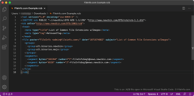 Screenshot of a .nzb file in Microsoft Visual Studio Code