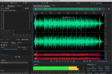 Screenshot of a .ogg file in Adobe Audition 2021