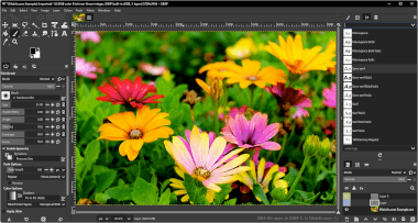 Screenshot of a .ora file in GIMP 3