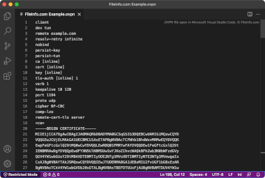 Screenshot of a .ovpn file in Microsoft Visual Studio Code