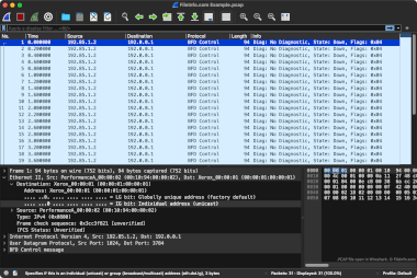 Screenshot of a .pcap file in Wireshark