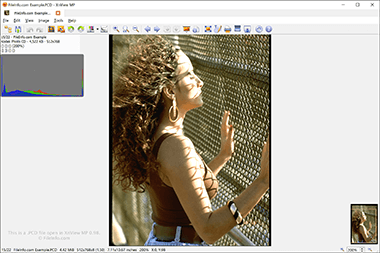 Screenshot of a .pcd file in XnViewMP 0.98