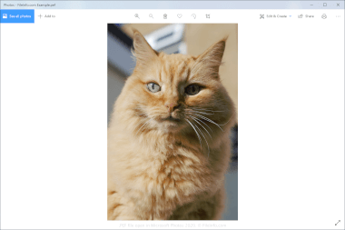 Screenshot of a .pef file in Microsoft Photos 2020