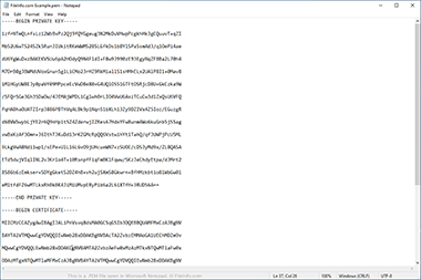 Screenshot of a .pem file in Microsoft Notepad