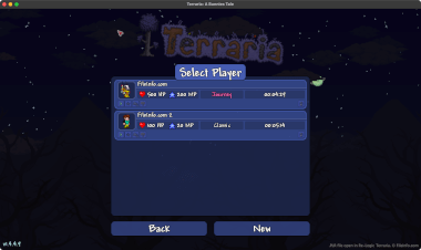 Screenshot of a .plr file in Re-Logic Terraria