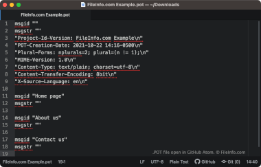 Screenshot of a .pot file in GitHub Atom