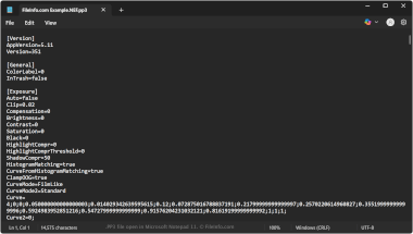 PP3 file open in Microsoft Notepad