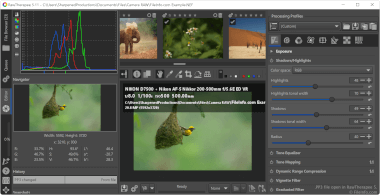 Screenshot of a .pp3 file in RawTherapee 5