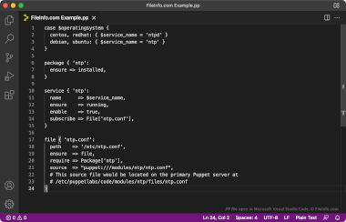 Screenshot of a .pp file in Microsoft Visual Studio Code