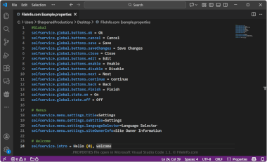 Screenshot of a .properties file in Microsoft Visual Studio Code 1.1
