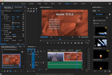 Screenshot of a .prtl file in Adobe Premiere Pro 2022