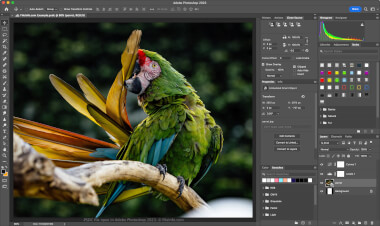 Screenshot of a .psdc file in Adobe Photoshop 2023