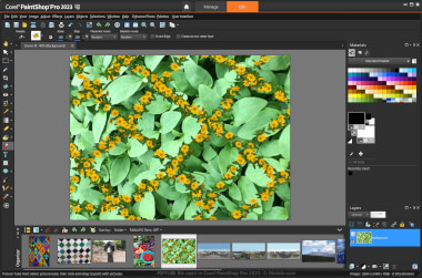 Screenshot of a .psptube file in Corel PaintShop Pro 2023