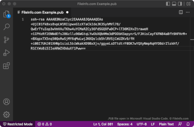 Screenshot of a .pub file in Microsoft Visual Studio Code