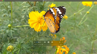 Screenshot of a .qt file in Apple QuickTime Player 10.5