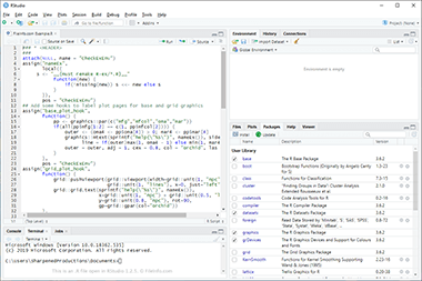 Screenshot of a .r file in RStudio 1.2.5