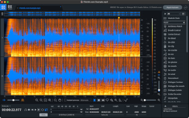 Screenshot of a .rxdoc file in iZotope RX 9 Audio Editor