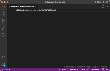 Screenshot of a .sha1 file in Microsoft Visual Studio Code