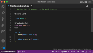 Screenshot of a .sip file in Microsoft Visual Studio Code