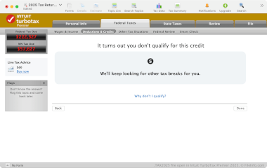Screenshot of a .tax2025 file in Intuit TurboTax Premier 2025