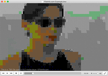 Screenshot of a .tmv file in VLC media player
