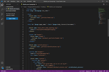 Screenshot of a .tpl file in Microsoft Visual Studio Code 1.49