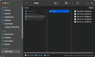 Screenshot of a .trashes file in Apple Finder