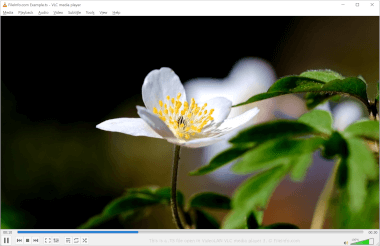 Screenshot of a .ts file in VLC Media Player