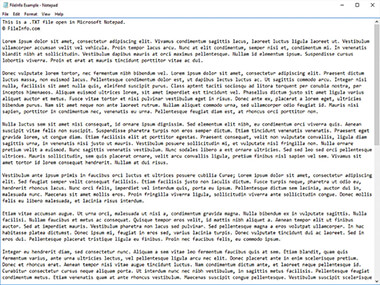 Screenshot of a .txt file in Microsoft Notepad