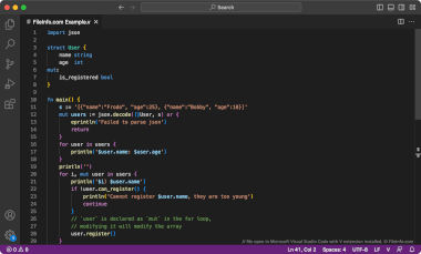 Screenshot of a .v file in Microsoft Visual Studio Code