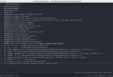 Screenshot of a .vcf file in GitHub Atom