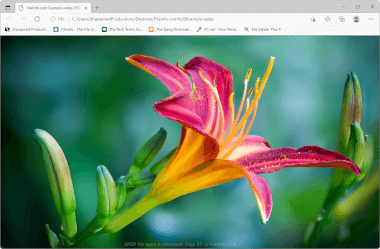 Screenshot of a .webp file in Microsoft Edge 97
