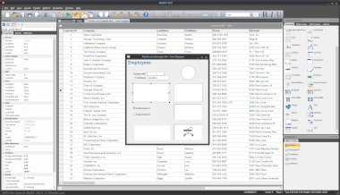 Screenshot of a .wfm file in dBase 2019
