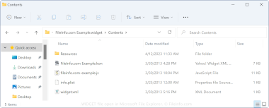 WIDGET file open in Microsoft File Explorer