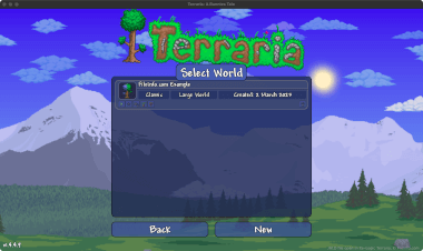 Screenshot of a .wld file in Re-Logic Terraria