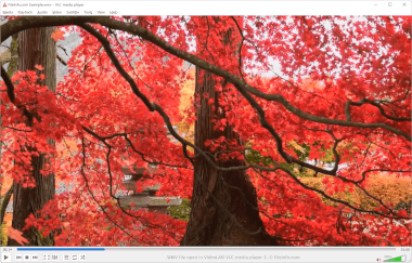 Screenshot of a .wmv file in VideoLAN VLC media player
