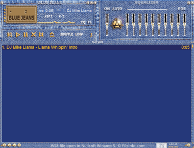 Screenshot of a .wsz file in Nullsoft Winamp 5