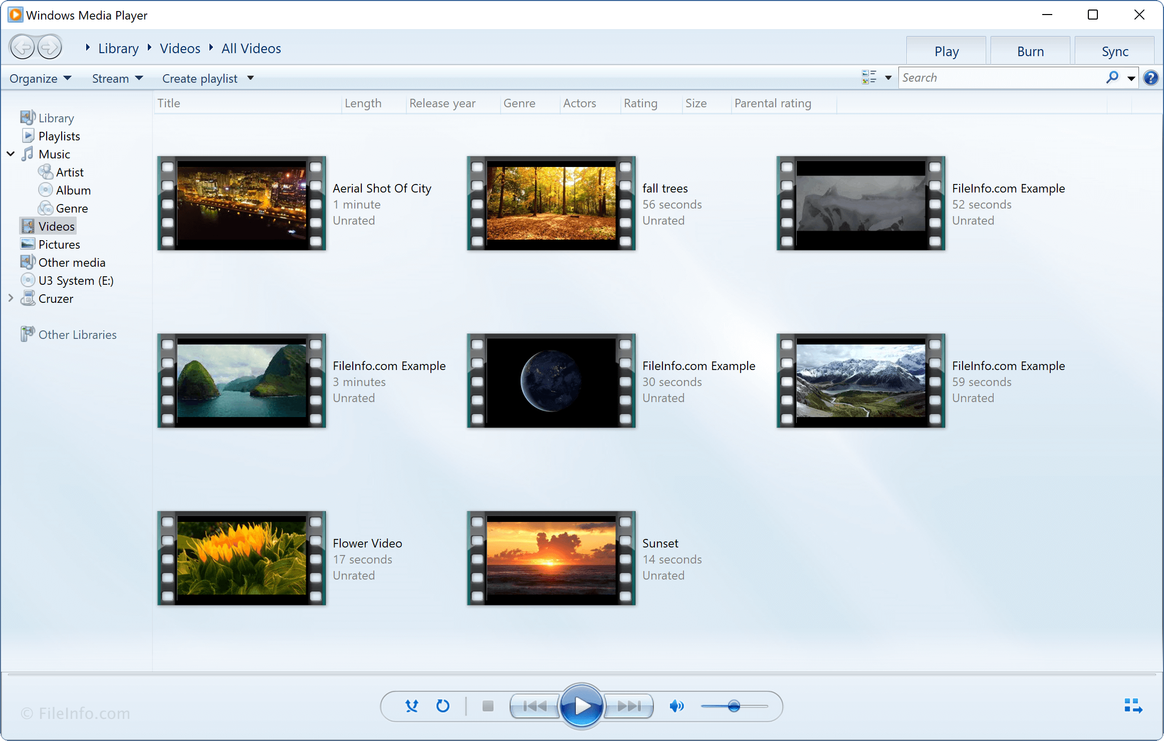 windows media player file types supported