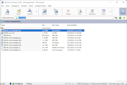 Screenshot of E-merge WinAce 2.69