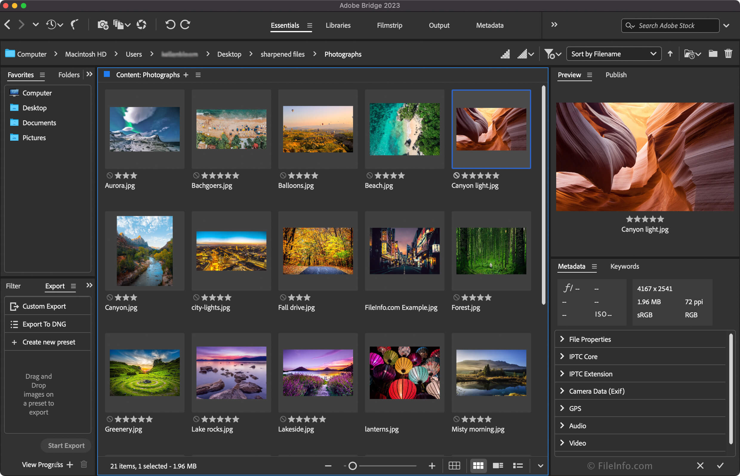 Adobe Bridge 2023 Supported File Formats