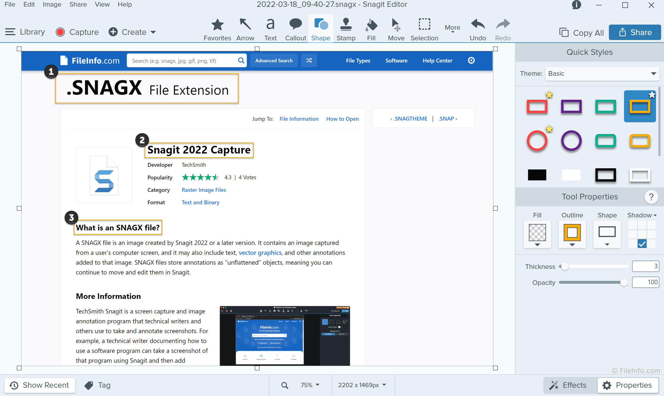 TechSmith Snagit 2022 Overview And Supported File Types